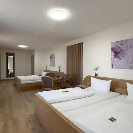 Engel Hotel Kappel-Grafenhausen