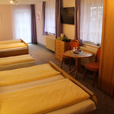 Engel Hotel 3*
