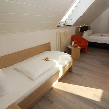Hotel Engel 3*