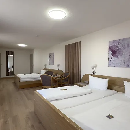 Engel 3* Kappel-Grafenhausen