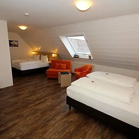 Hotel Engel 3*