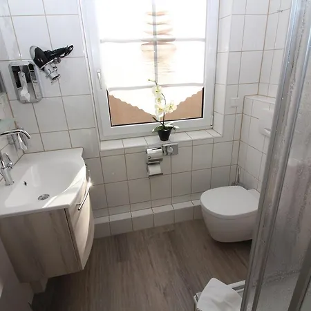 Hotel Engel 3*