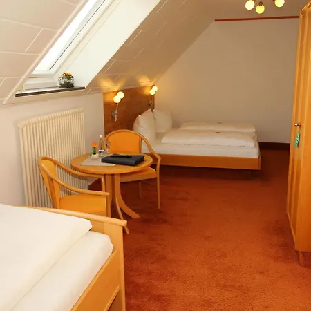 Engel Hotel 3*
