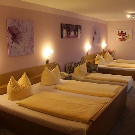 Engel Hotel 3*