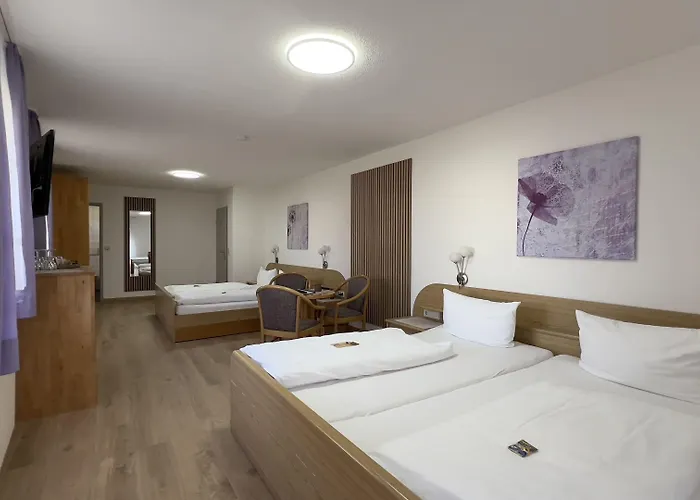 Engel 3* Kappel-Grafenhausen